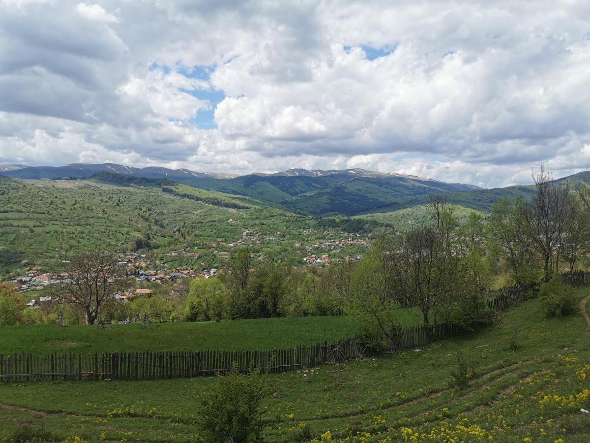 Doftana Apartaments Teşila Екстериор снимка