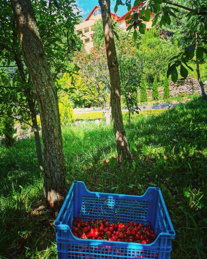 Doftana Apartaments Teşila Екстериор снимка