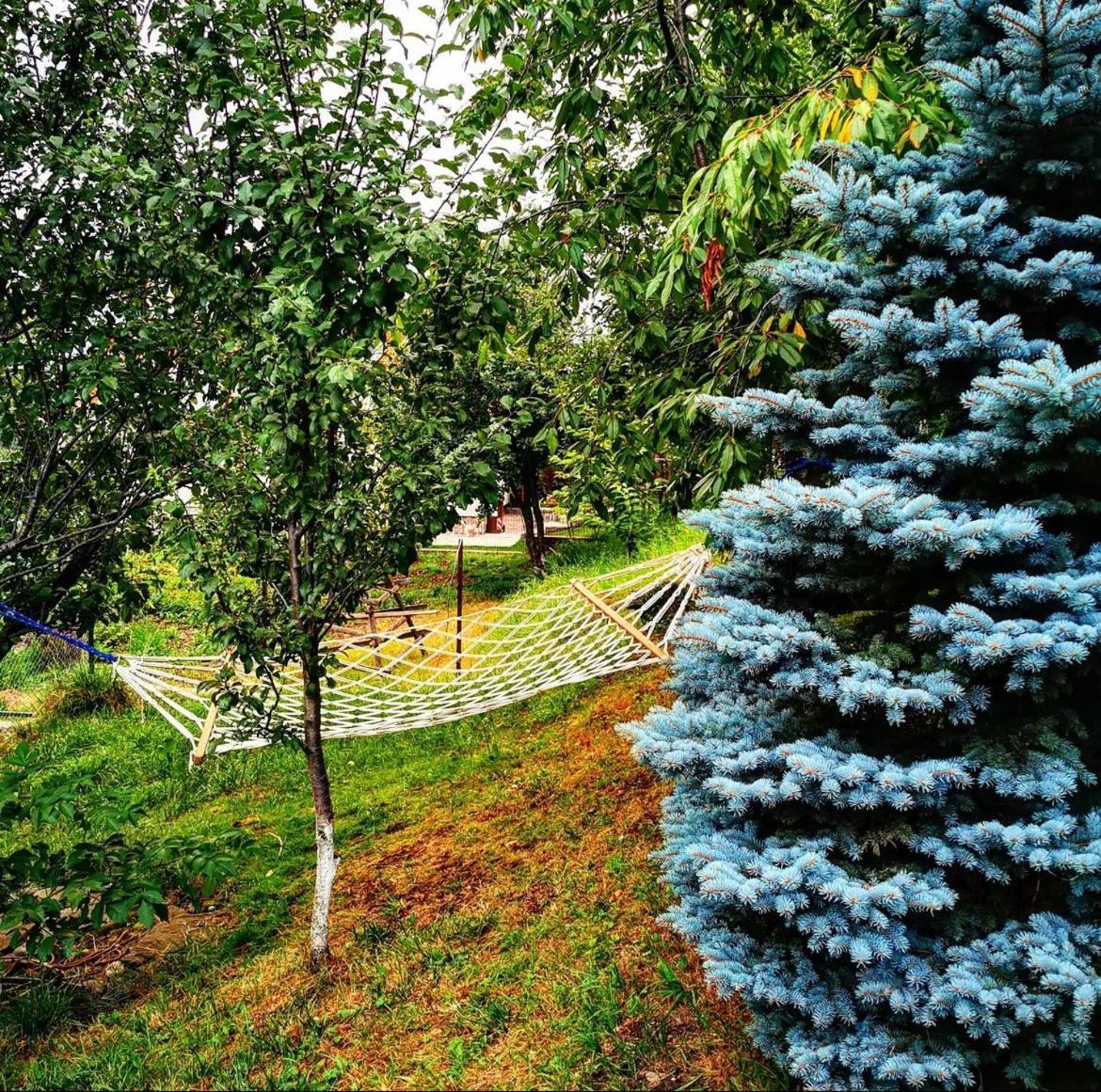 Doftana Apartaments Teşila Екстериор снимка