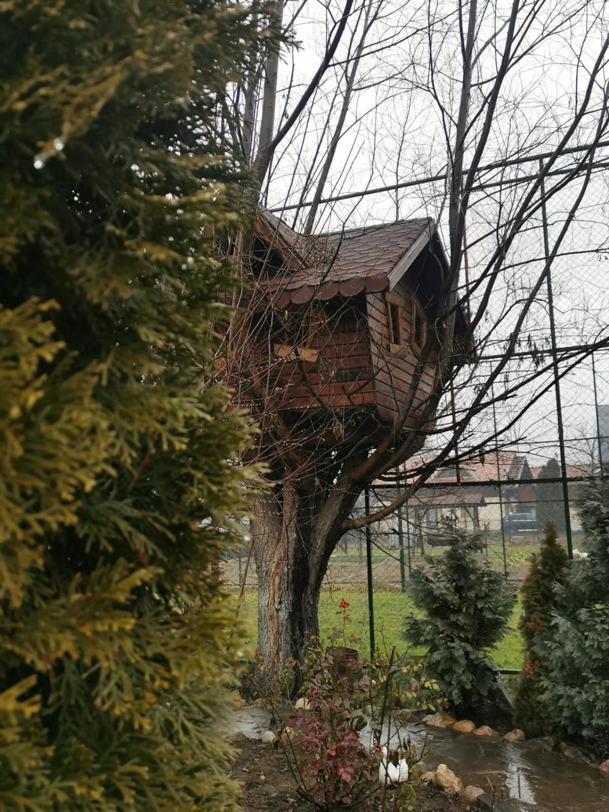 Doftana Apartaments Teşila Стая снимка
