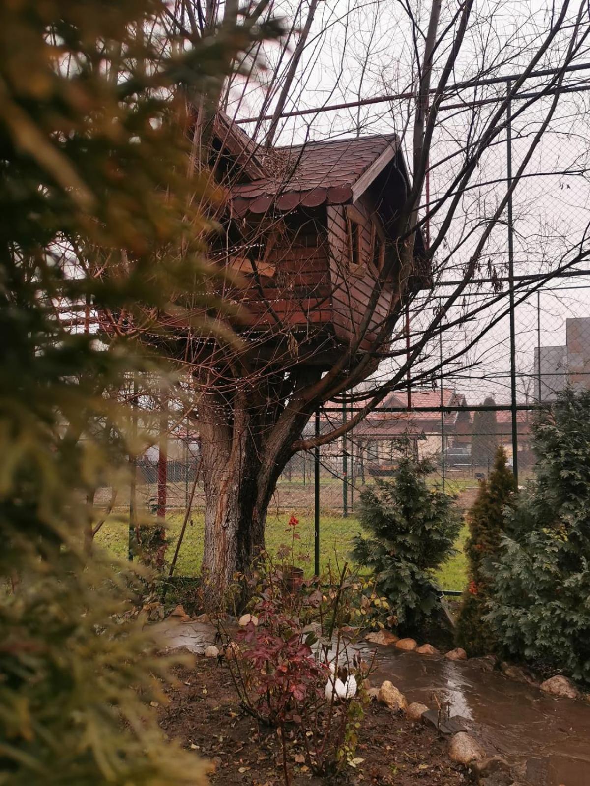 Doftana Apartaments Teşila Стая снимка