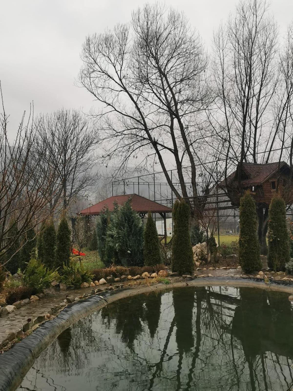Doftana Apartaments Teşila Стая снимка